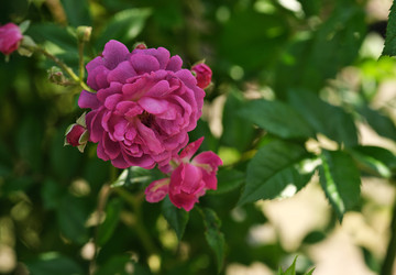 Similar image 22096000