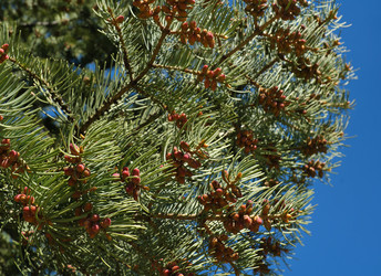 Similar image 22096001