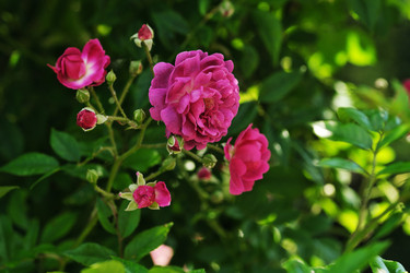 Similar image 22096002