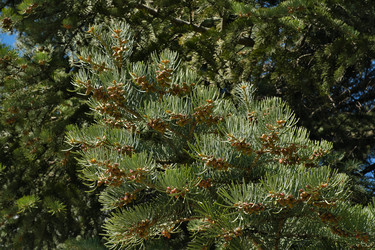 Similar image 22096003