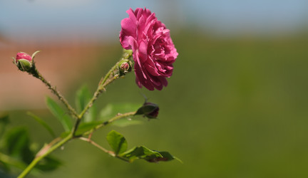 Similar image 22096004