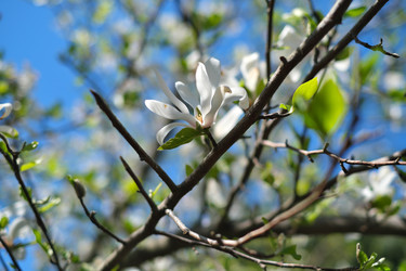 Similar image 22096005