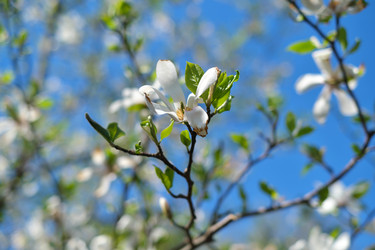 Similar image 22096007