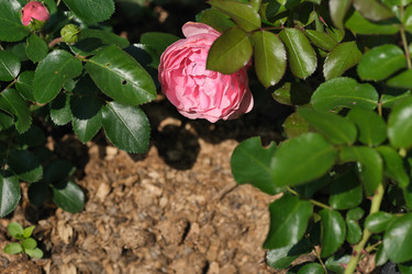 Similar image 22096008