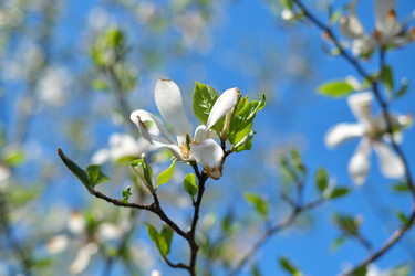 Similar image 22096009