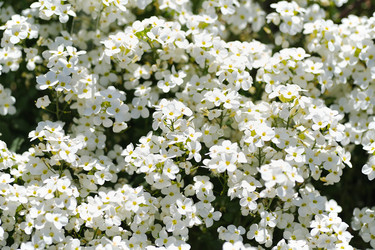 Similar image 22096011