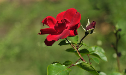 Similar image 22096012