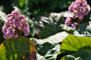 Similar image 22096013