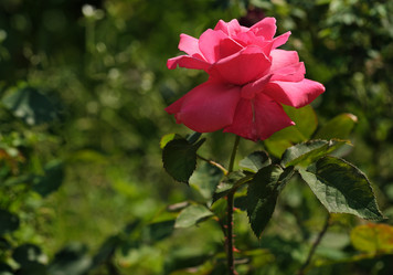 Similar image 22096014