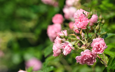 Similar image 22096016