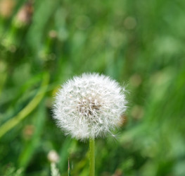 Similar image 22096017