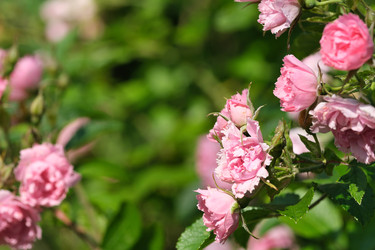 Similar image 22096018