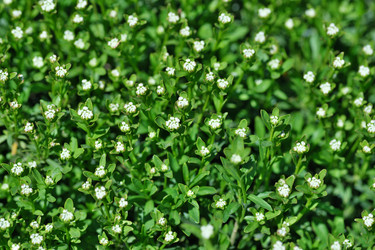 Similar image 22096019