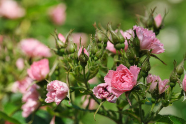 Similar image 22096020