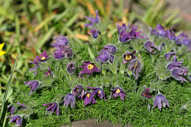 Similar image 22096021