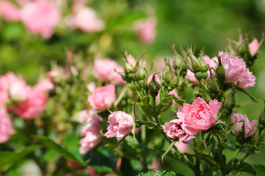 Similar image 22096022