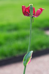 Similar image 22096023