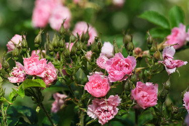 Similar image 22096024