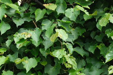 Similar image 22096025