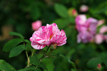 Similar image 22096026