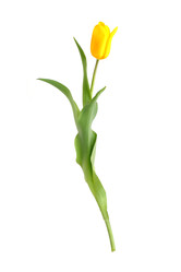 Similar image 22096027