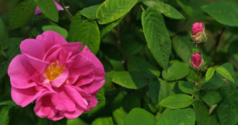 Similar image 22096028