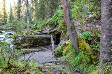 Similar image 22097684