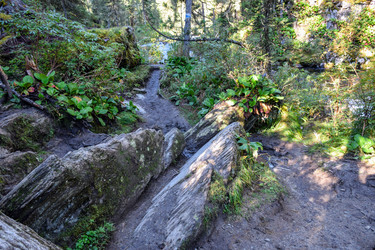 Similar image 22097736