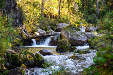 Similar image 22097737