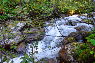 Similar image 22097738