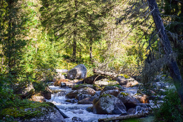 Similar image 22097739