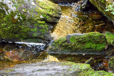 Similar image 22097742