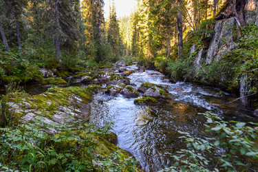 Similar image 22097743