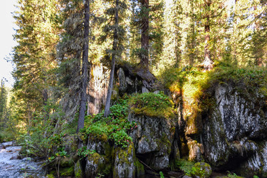 Similar image 22097744