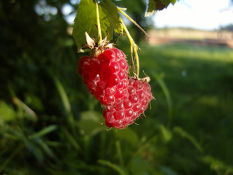 Similar image 22100866