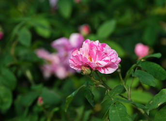 Similar image 22096030