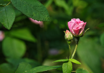 Similar image 22096032