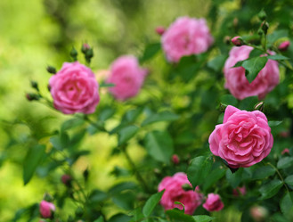 Similar image 22096034