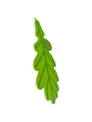 Similar image 22096035