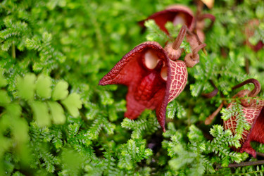 Similar image 22096042