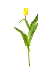 Similar image 22096043