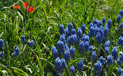 Similar image 22096046