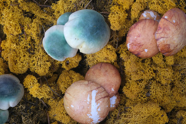 Similar image 22096052