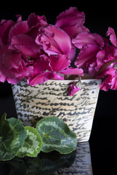 Similar image 22096057