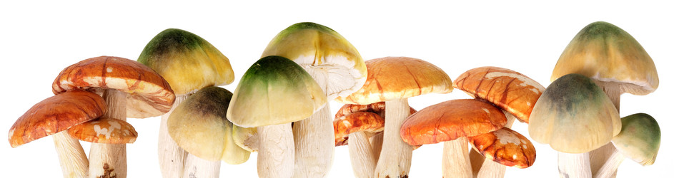 Similar image 22096063