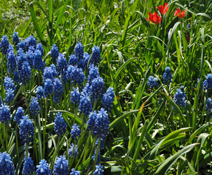 Similar image 22096066