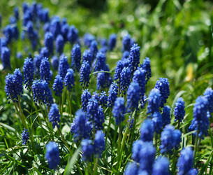 Similar image 22096070