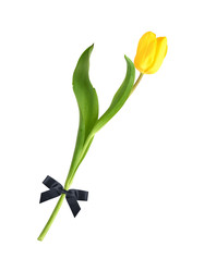 Similar image 22096072