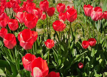 Similar image 22096074