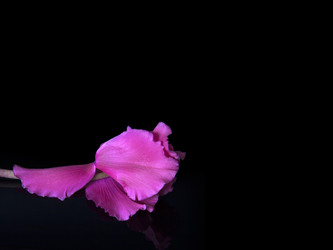 Similar image 22096077